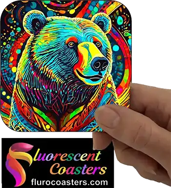  Bear 7