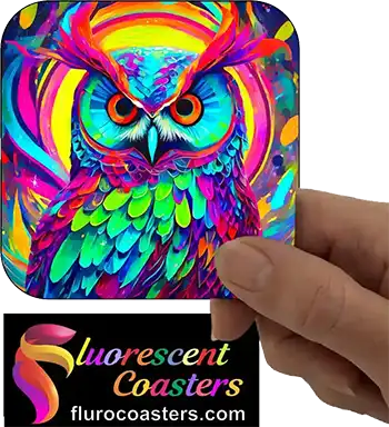  Owl 4