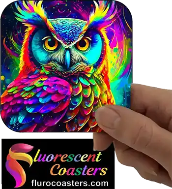  Owl 5