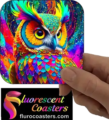  Owl 6