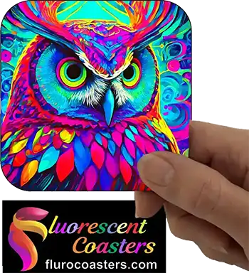  Owl 7