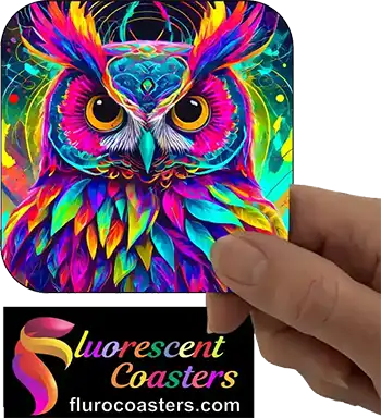 Owl 9