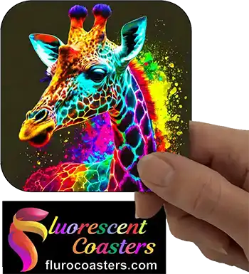  Giraffe 5
