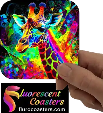  Giraffe 7