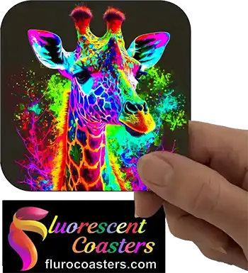  Giraffe 8