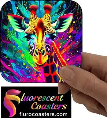  Giraffe 9