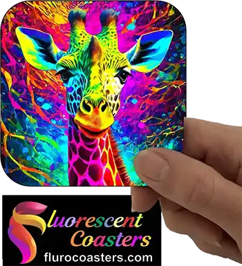  Giraffe 12