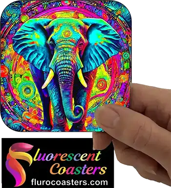  Elephant 1