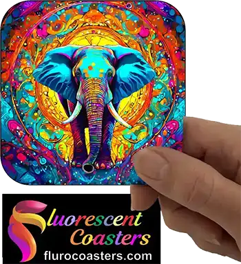  Elephant 2