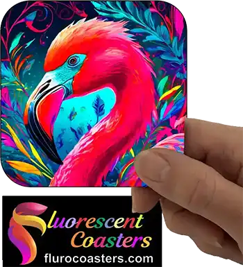  Flamingo 4