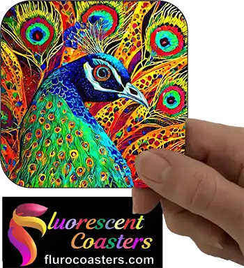  Peacock 1