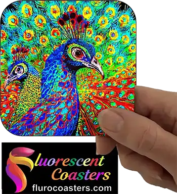  Peacock 2