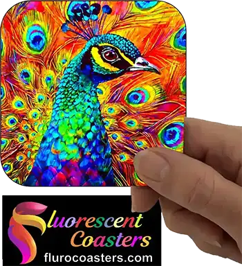  Peacock 3