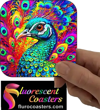  Peacock 11