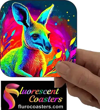  Kangaroo 5