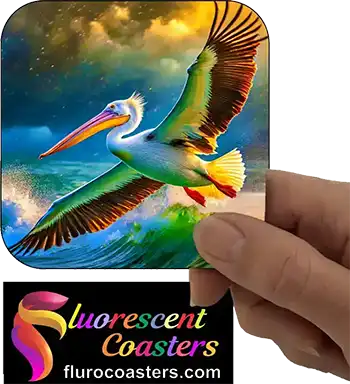  Pelican 1