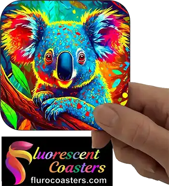  Koala 5