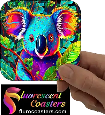  Koala 6