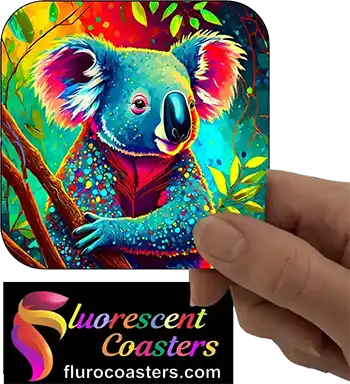  Koala 8
