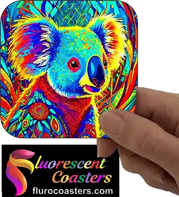  Koala 9