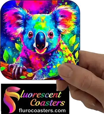  Koala 10