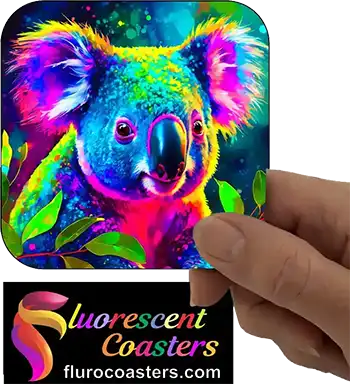  Koala 11
