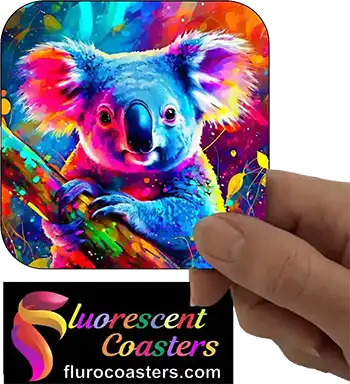  Koala 12