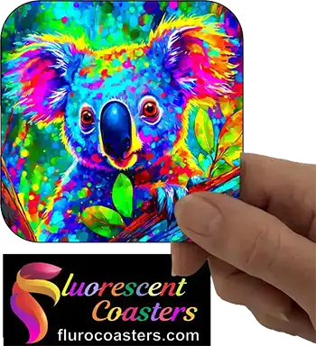 Koala 13
