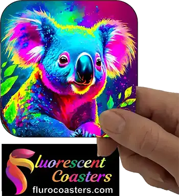  Koala 15