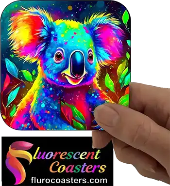 Koala 17