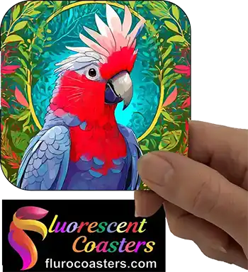  Galah 1
