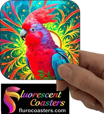  Galah 2