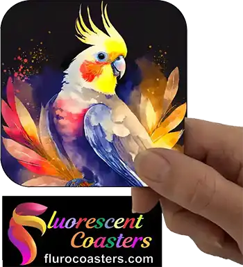  Cockatiel 1