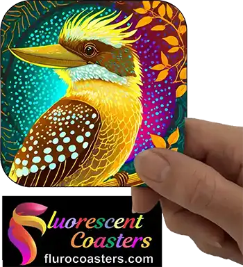  Kookaburra 1