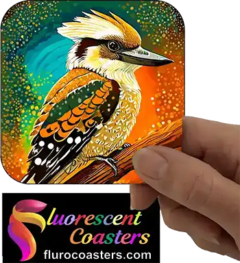  Kookaburra 3