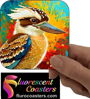  Kookaburra 5