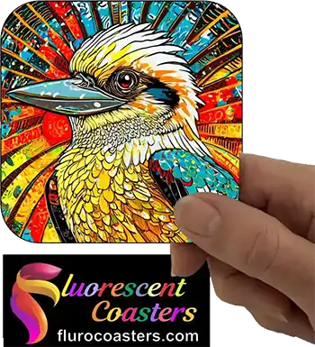  Kookaburra 6