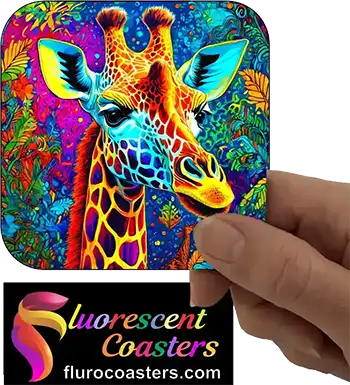  Giraffe 21