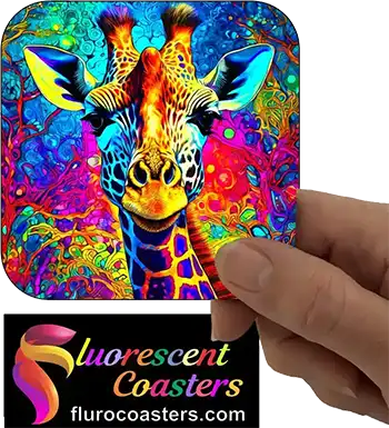  Giraffe 22