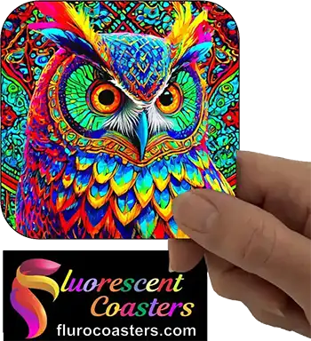  Owl 11