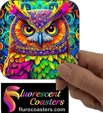 Owl 13