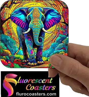  Elephant 6
