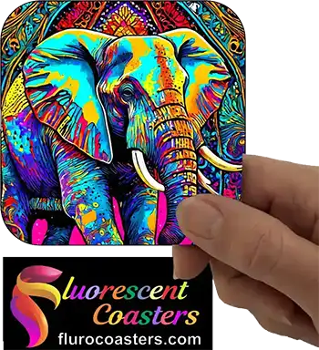  Elephant 7