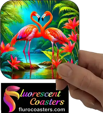  Flamingos 2