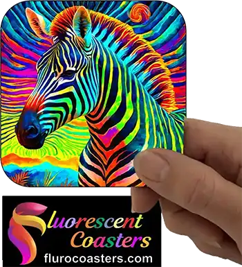  Zebra 1