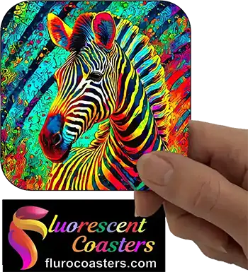  Zebra 2