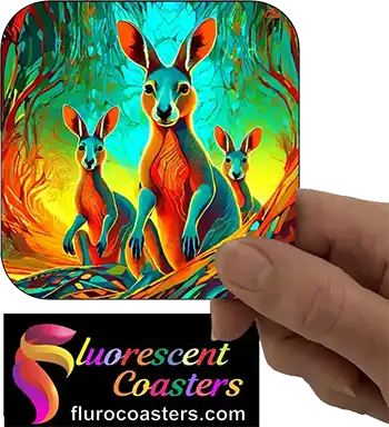  Kangaroo 11