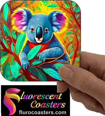  Koala 19