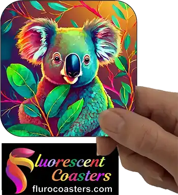  Koala 20