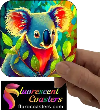  Koala 21